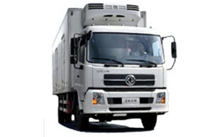 東風(fēng)天錦 冷鏈物流運(yùn)輸系列 160馬力4x2運(yùn)輸車(chē)