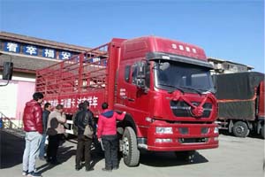 “創(chuàng)富車、吉祥年” 汕德卡斯太爾全國總動(dòng)員！