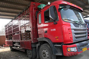 發(fā)現(xiàn)信賴--格爾發(fā)載貨車的品質(zhì)與服務(wù)，棒棒噠！
