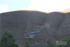中國(guó)重汽藏地探索世界屋脊：前方目標(biāo)澤當(dāng)