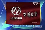 行走在雅加達的中國力量 上汽紅巖與亞運精神同在