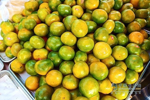 福田祥菱楊姐一年四季賣各類水果，有蜜桔，棗子，葡萄，哈密瓜，蘋果等等