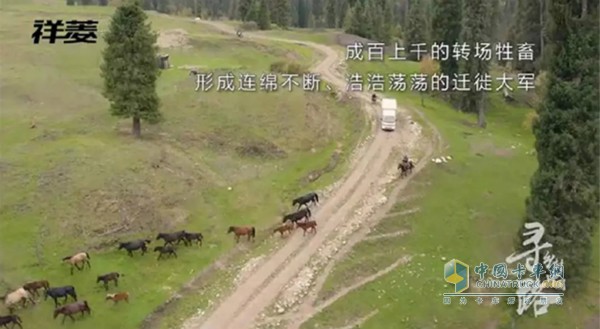 金秋時(shí)節(jié)，新疆哈薩克族牧民開始大面積轉(zhuǎn)場