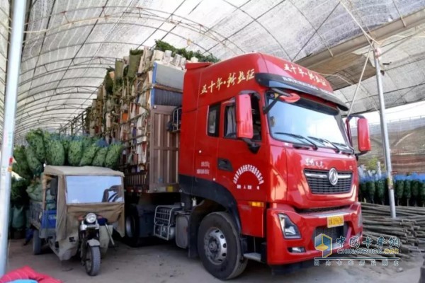 車輛裝好鮮花綠植踏上返程之路，車貨總重仍為49噸