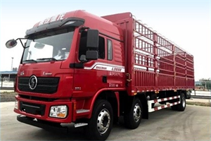 陜汽德龍L3000高頂雙臥載貨車(chē)，方方面面 “大”有不同!