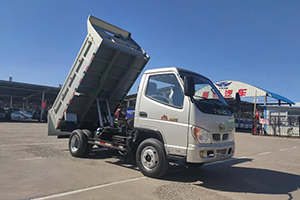 復(fù)工要選耐用車(chē) 小寶馬工程自卸 斷氣剎新款了解一下？