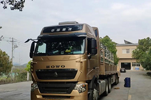 主動(dòng)要報(bào)名節(jié)油大賽！這位豪沃車主的油耗表現(xiàn)你服不服？