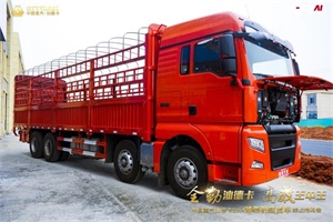 吸引138.43萬(wàn)人觀看  重汽汕德卡8×4濰柴機(jī)載貨車就是這么厲害！