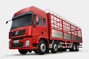 搶“鮮”一步 德龍X3000綠通版載貨車多重需求優(yōu)“鮮”滿足