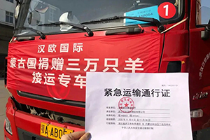 蒙古國送的3萬只羊，東風(fēng)商用車給您接回來啦！
