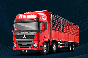 德龍X5000 8×4 綠通版載貨車：天生與時(shí)間為敵！