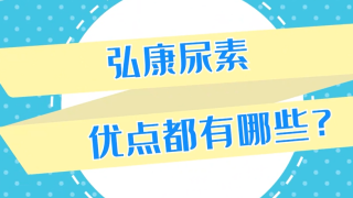 代理商信賴的國(guó)六解決方案供應(yīng)商--弘康環(huán)保