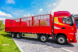 紅巖杰獅H6載貨車，可靠經(jīng)濟動力，能省，更會賺!
