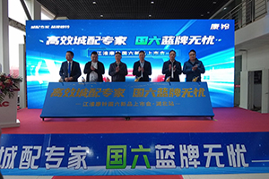 國六藍牌無憂  江淮康鈴更多車型打造高效城配專家