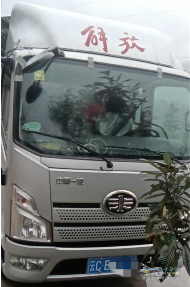 解放領途