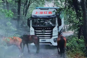 2022年剛過半，上汽紅巖為“場景化”新戰(zhàn)役做好了這些準(zhǔn)備
