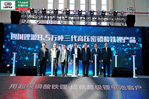 2年增長(zhǎng)5倍，銷量100億！龍?bào)纯萍家院隈R之姿殺入新能源賽道