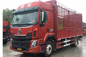 山區(qū)拉綠通如何更高效？乘龍H5載貨車(chē)車(chē)主有話(huà)說(shuō)