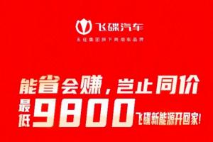 能省會賺   最低9800元飛碟新能源開回家！