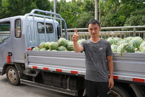 康鈴助農(nóng)在行動 直播熱賣上千斤西瓜 領跑L3車主吳師傅樂開了花