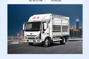 藍(lán)牌輕卡新選擇，領(lǐng)航大G-LNG氣體機(jī)輕卡，能省會(huì)賺，創(chuàng)富給力！