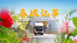 花車(chē)相映，比亞迪T5EV見(jiàn)證著云南花海的熱烈
