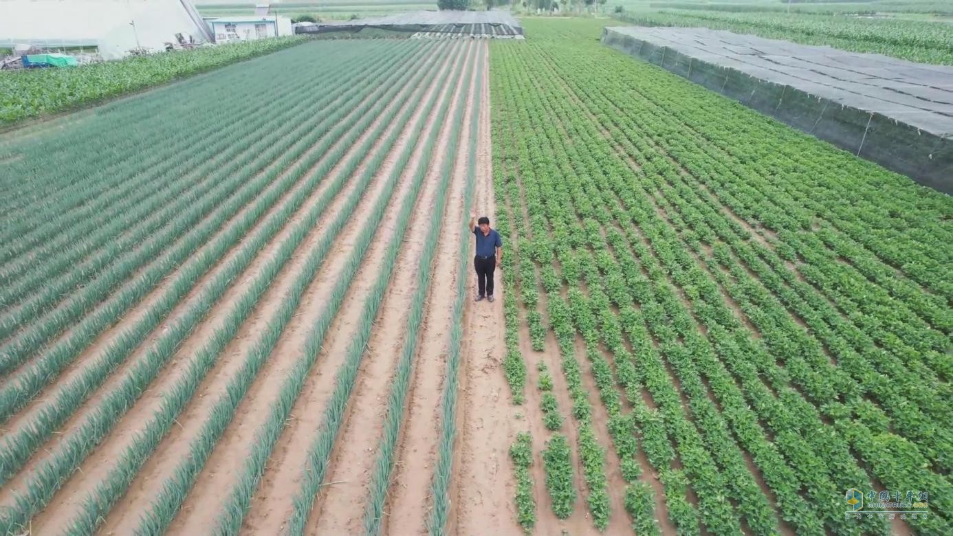 引吭高歌送綠通，他是江淮1卡駿鈴“綠巨人”