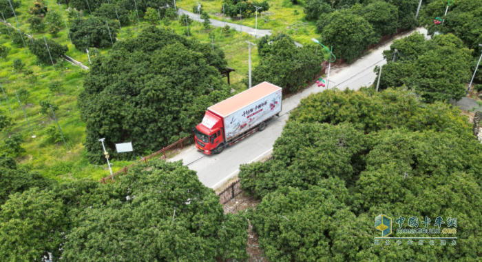 最大規(guī)模荔枝助銷！京東物流聯(lián)合多方打造全國(guó)荔枝產(chǎn)銷生態(tài)圈