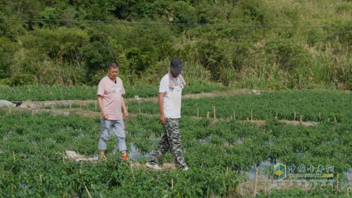 福建南平江師傅：“閩北第一椒”供不應(yīng)求，駿鈴V8跑得快行得穩(wěn)，5年67萬公里像新車