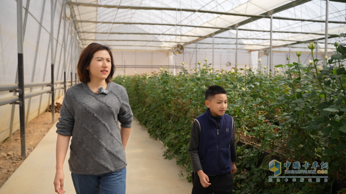 馭電綻芳華，比亞迪與云南花海的綠色交響