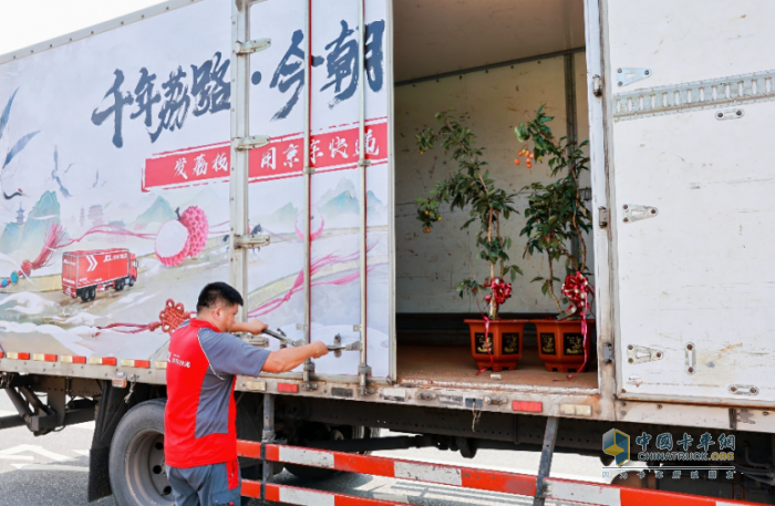 最大規(guī)模荔枝助銷！京東物流聯(lián)合多方打造全國(guó)荔枝產(chǎn)銷生態(tài)圈