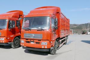 東風(fēng)商用車 天錦中卡 180馬力 4X2 6.75米 國(guó)五倉(cāng)柵式載貨車(DFH5180CCYBX3JV)