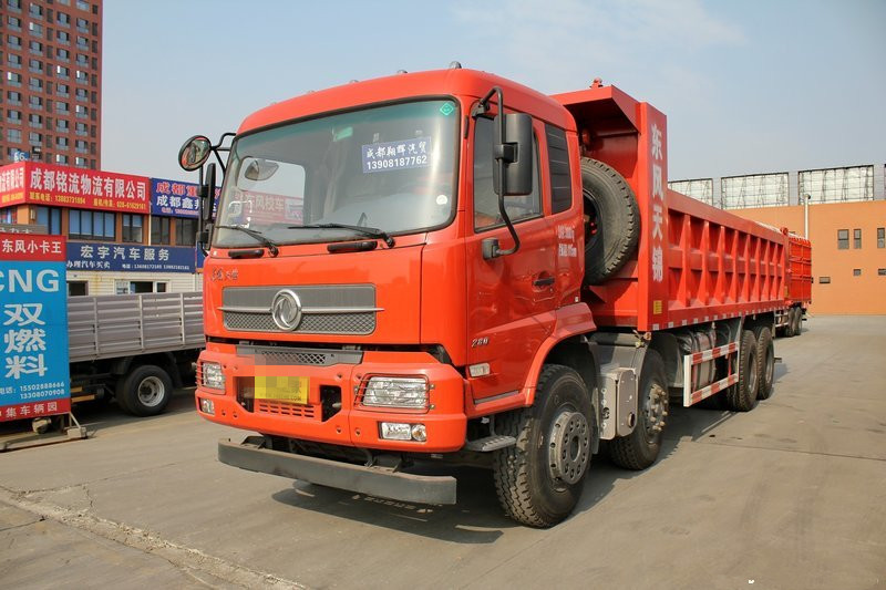 東風(fēng)商用車(chē) 天錦重卡 280馬力 8X4 6.2米 國(guó)五自卸車(chē)(DFH3310B2)