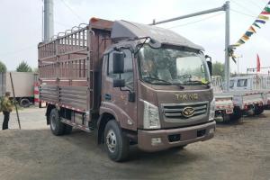 唐駿汽車 K7系列 綠巨人 156馬力 4.1米 國(guó)五 單排倉柵式輕卡(ZB5041CCYUDD6V)