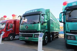 陜汽商用車 軒德翼6 輕量化版 245馬力 6X2 9.6米 國(guó)六 倉(cāng)柵式載貨車(SX5251CCYGP6559)